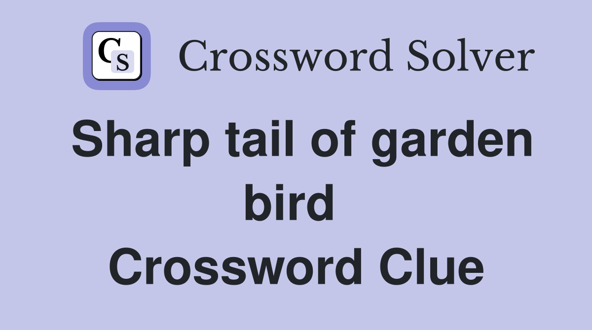 Sharp tail of garden bird  Crossword Clue