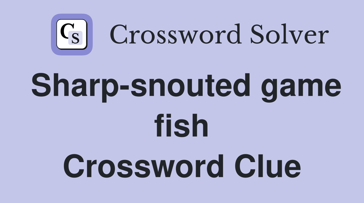 Sharp-snouted game fish Crossword Clue