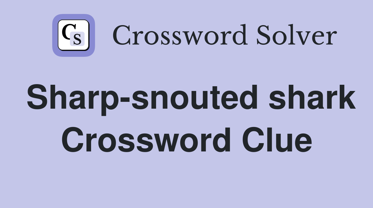 Sharp-snouted shark Crossword Clue