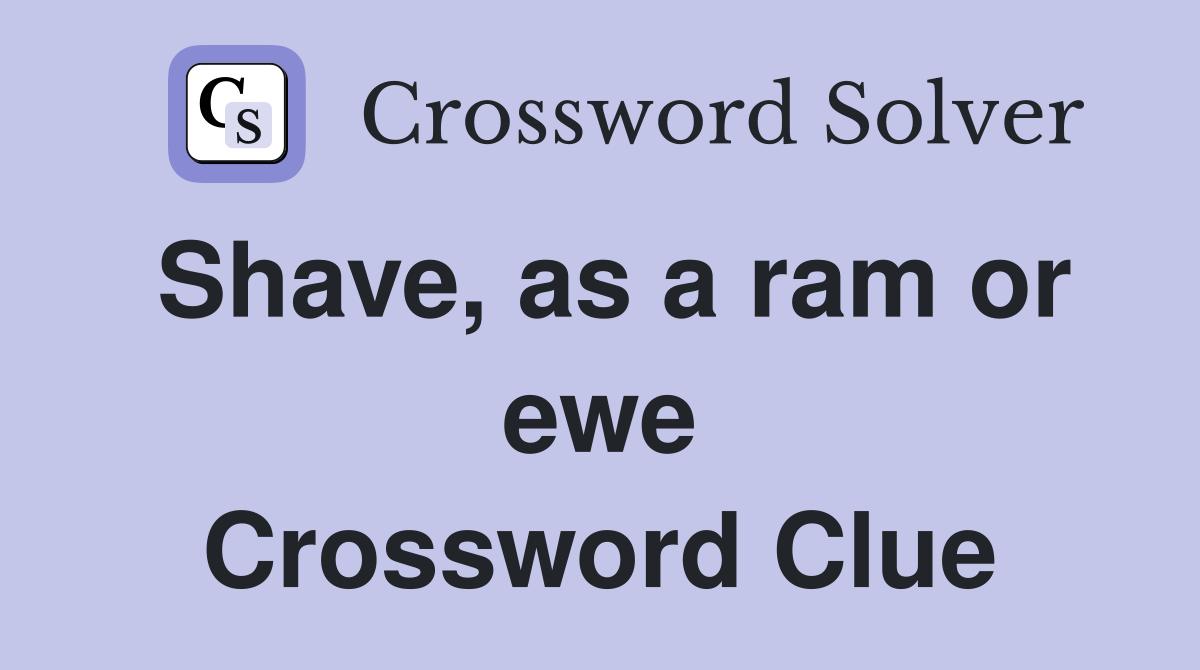 Shave, as a ram or ewe Crossword Clue
