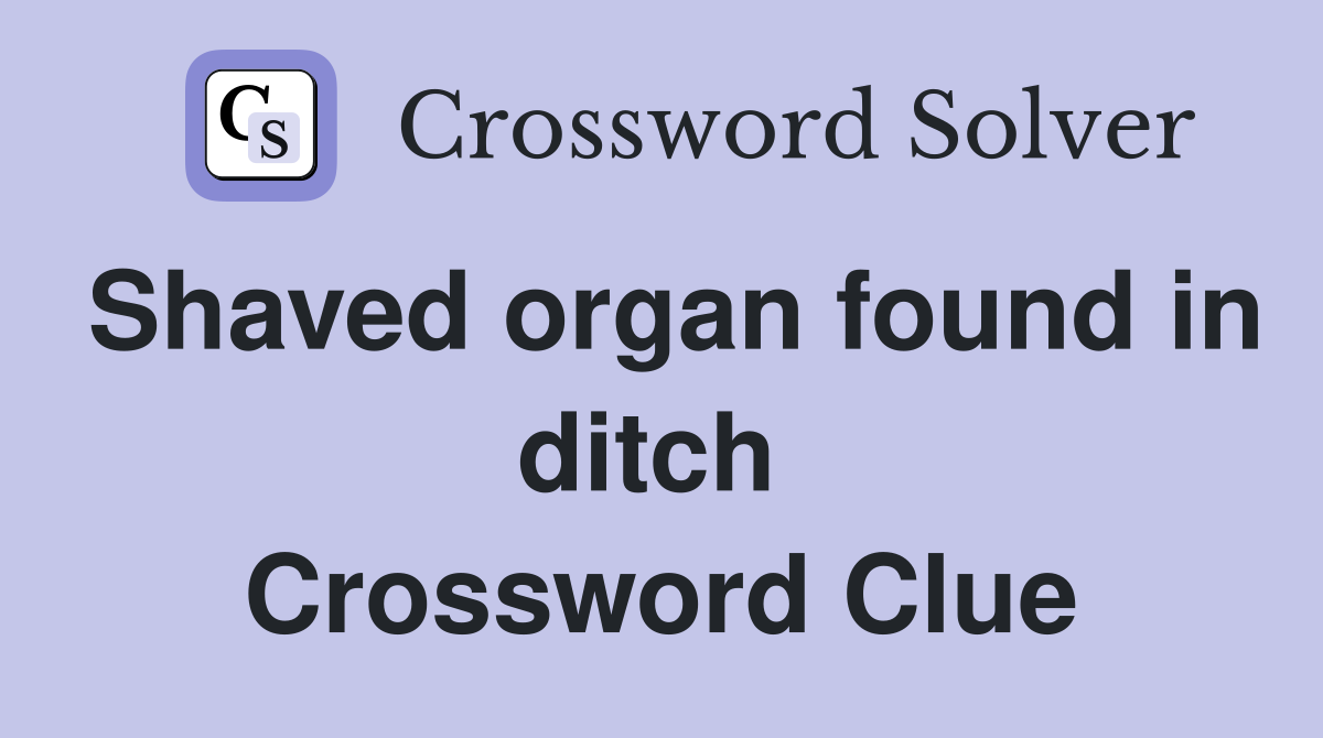 Shaved organ found in ditch  Crossword Clue