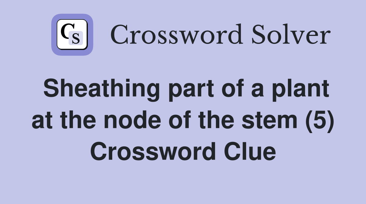 Sheathing part of a plant at the node of the stem (5) Crossword Clue