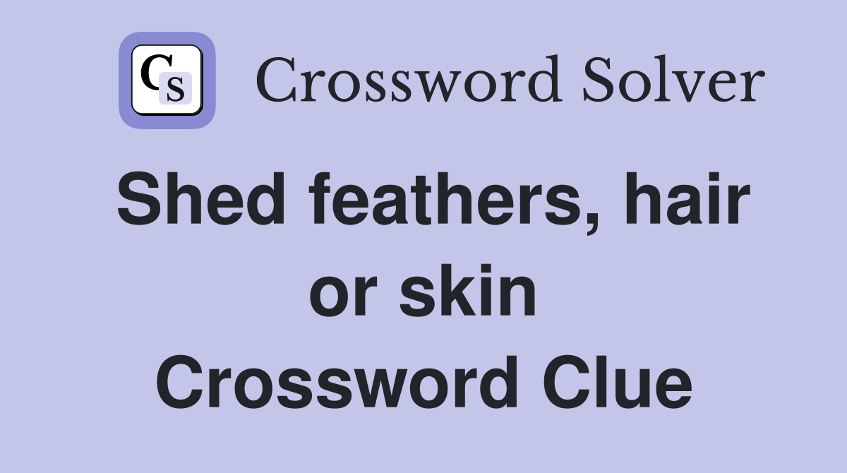 Shed feathers, hair or skin Crossword Clue