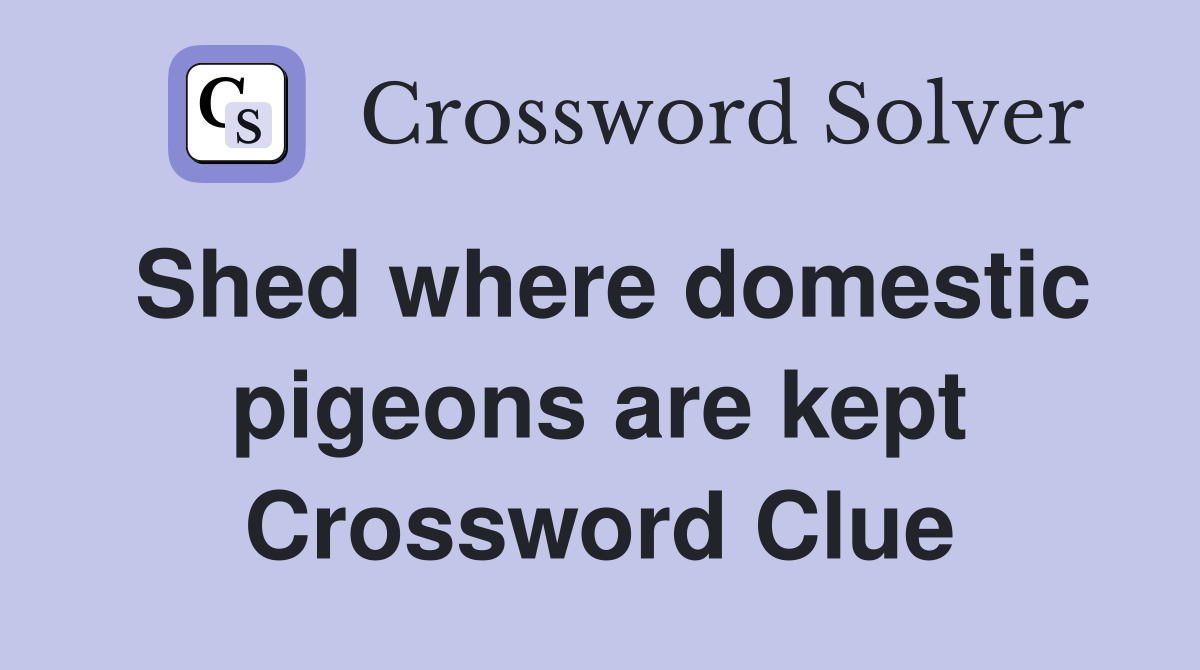 Shed where domestic pigeons are kept Crossword Clue