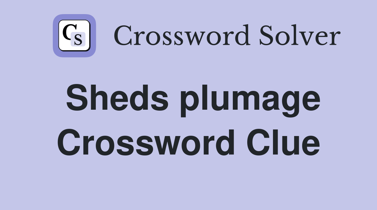 Sheds plumage Crossword Clue