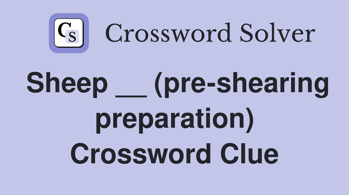 Sheep __ (pre-shearing preparation) Crossword Clue