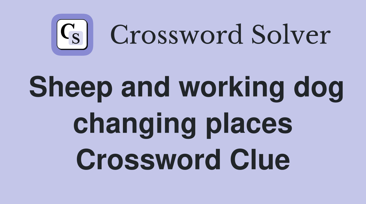 Sheep and working dog changing places Crossword Clue