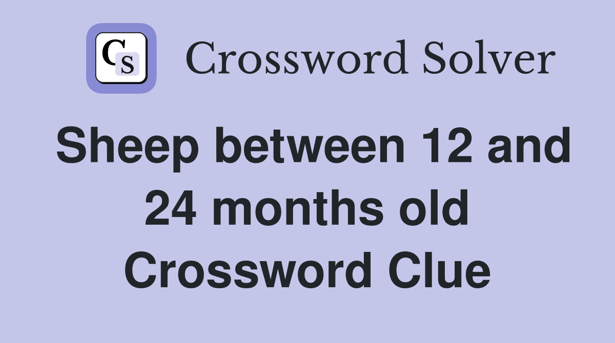 Sheep between 12 and 24 months old Crossword Clue