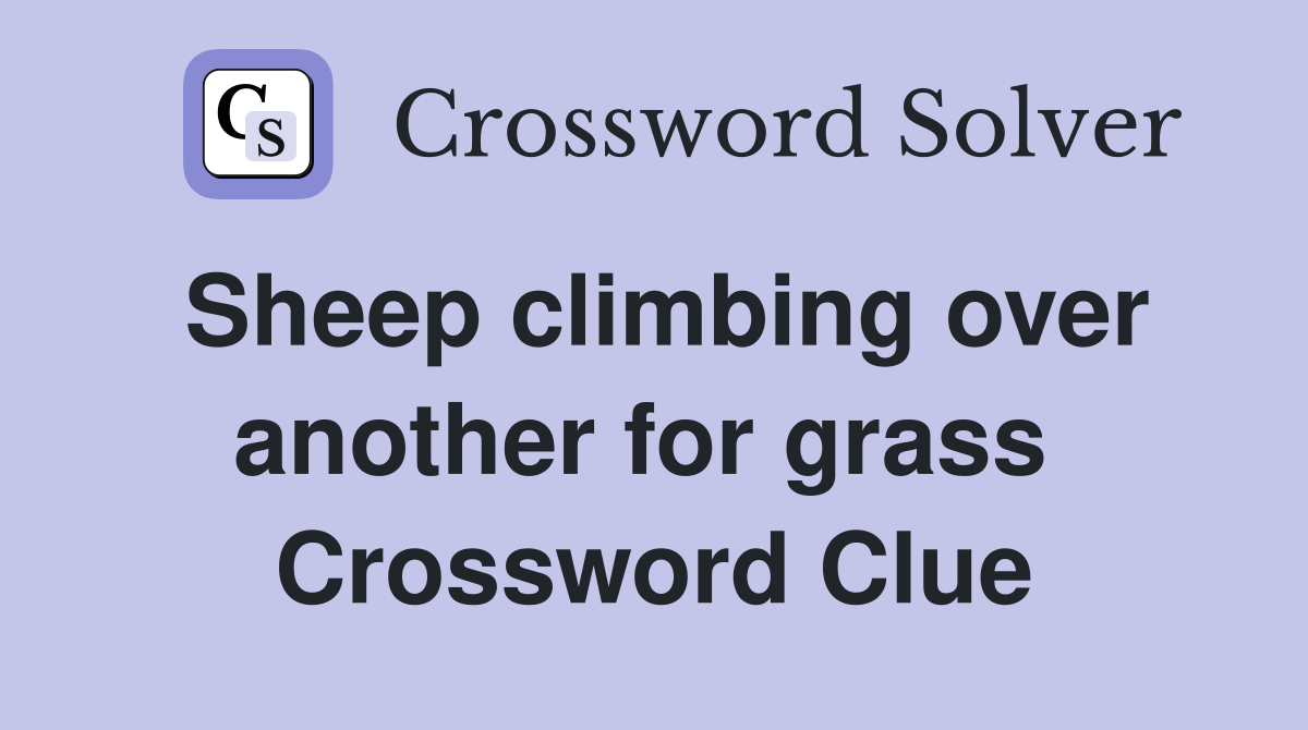 Sheep climbing over another for grass  Crossword Clue