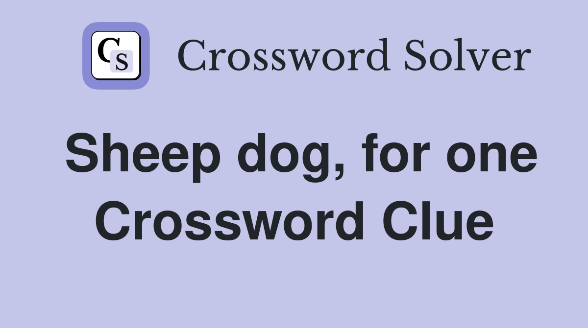 Sheep dog, for one Crossword Clue