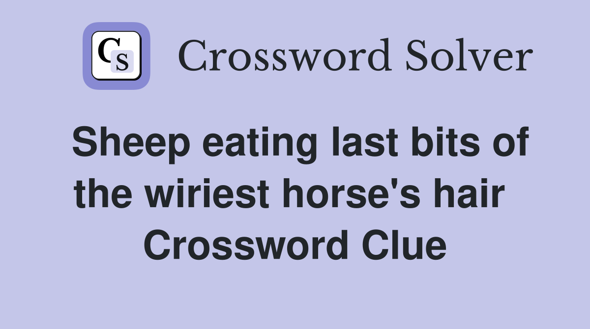 Sheep eating last bits of the wiriest horse's hair  Crossword Clue