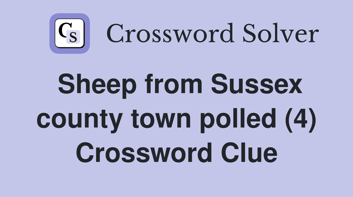 Sheep from Sussex county town polled (4) Crossword Clue