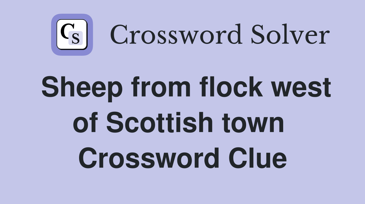 Sheep from flock west of Scottish town  Crossword Clue