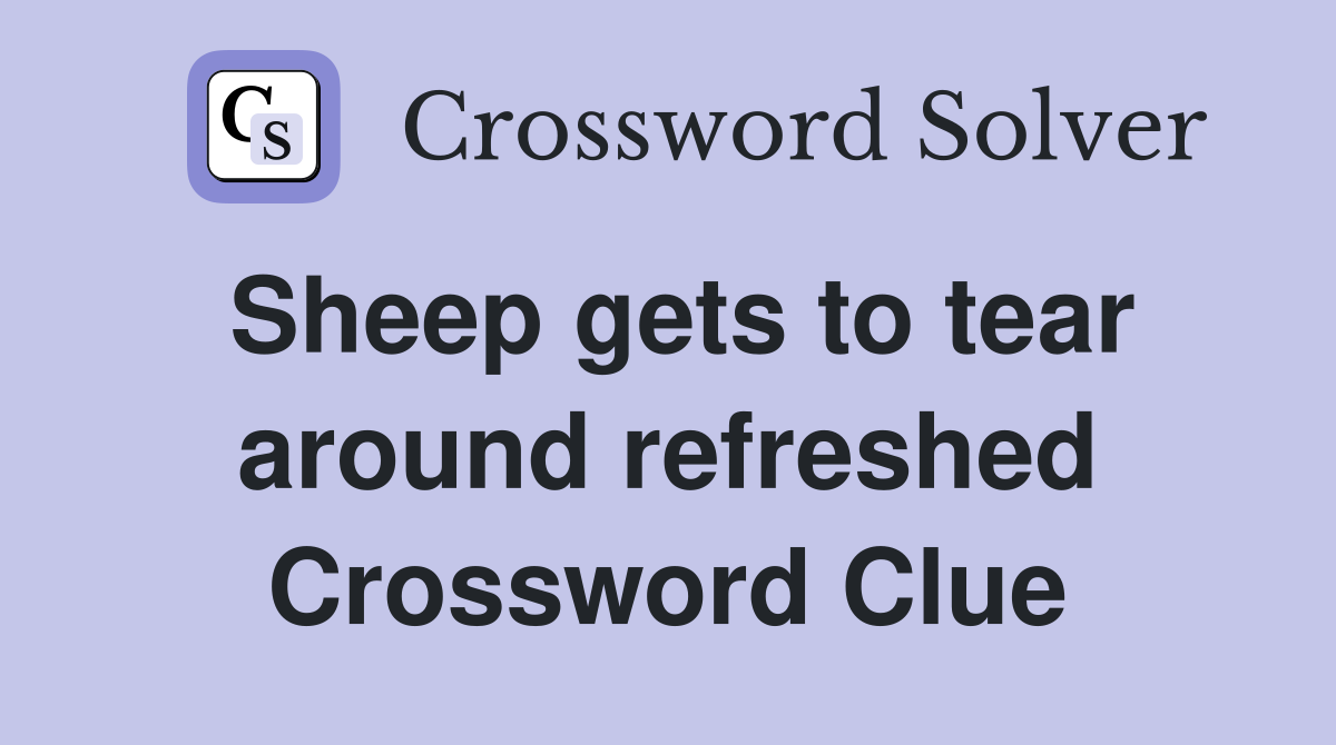 Sheep gets to tear around refreshed Crossword Clue