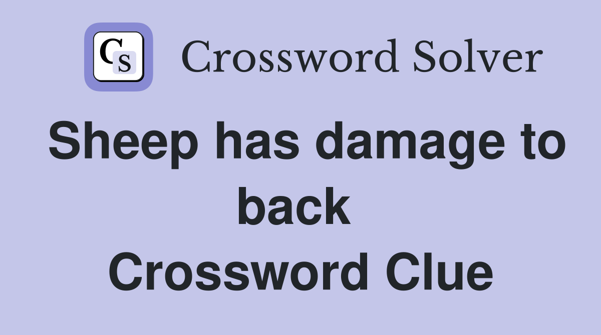 Sheep has damage to back  Crossword Clue