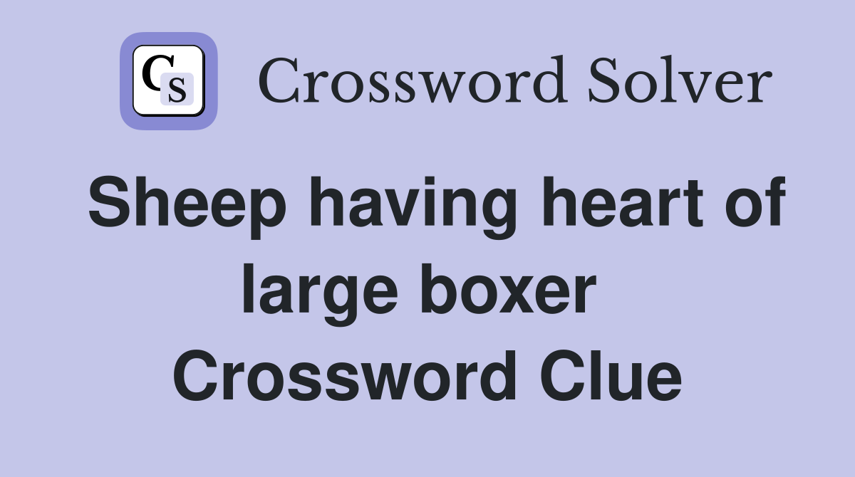 Sheep having heart of large boxer  Crossword Clue