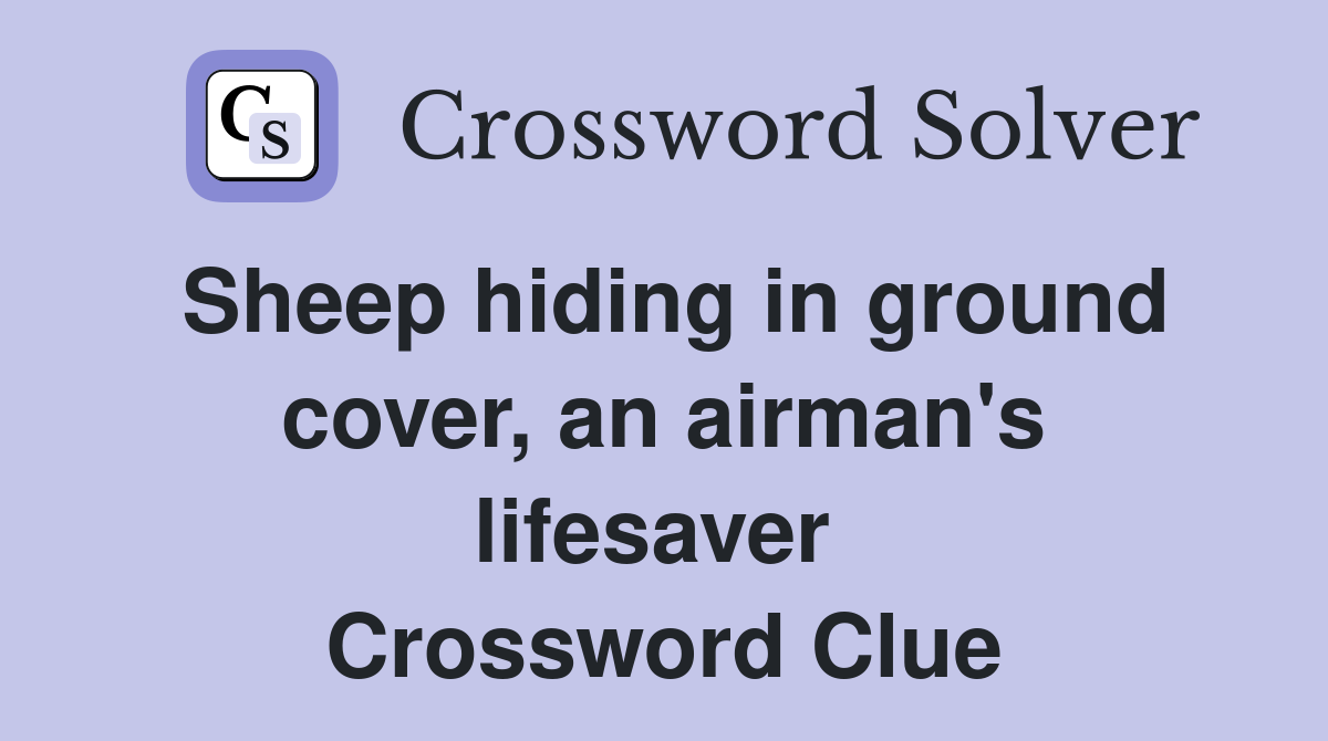 Sheep hiding in ground cover, an airman's lifesaver  Crossword Clue