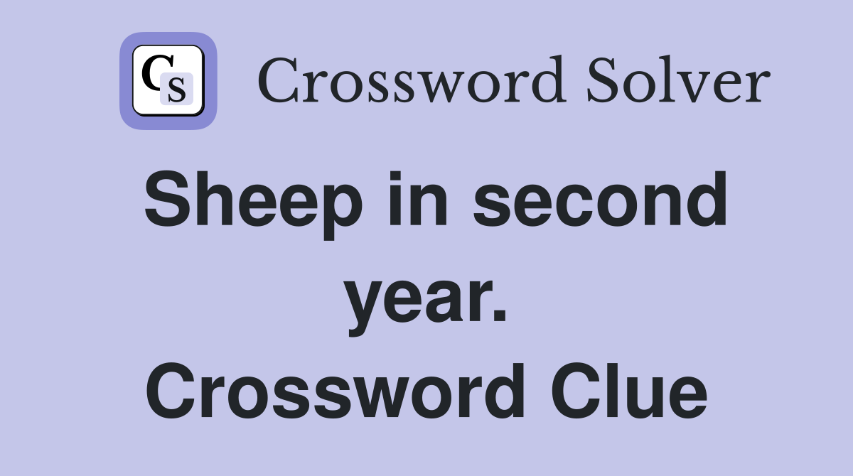 Sheep in second year. Crossword Clue