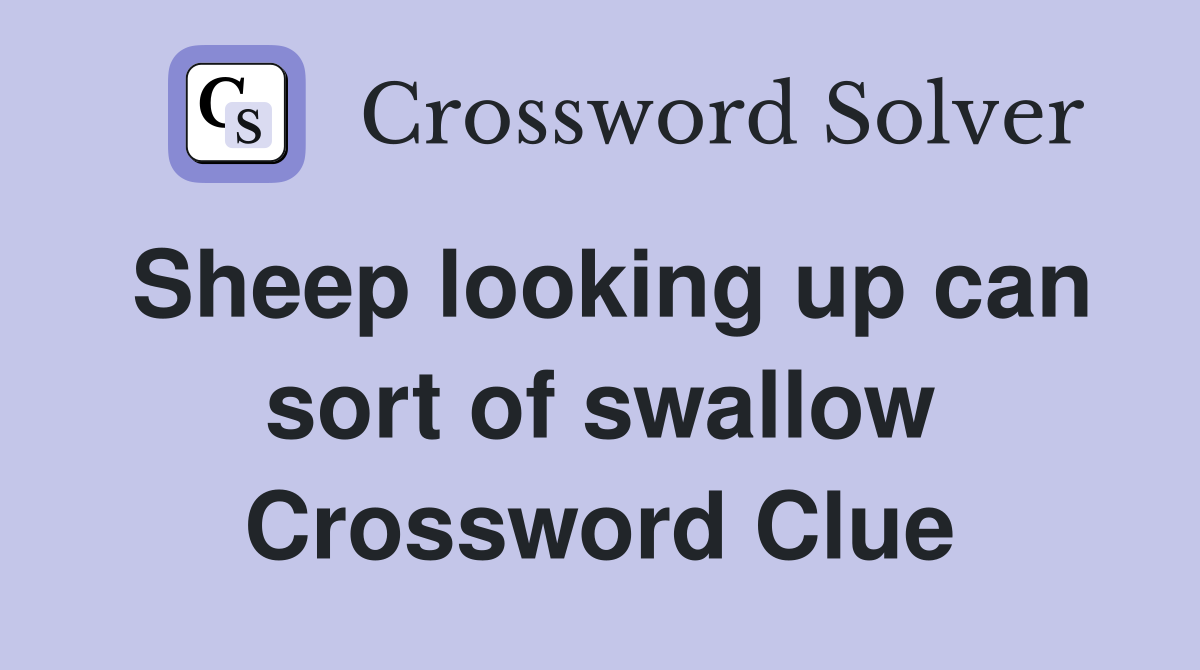 Sheep looking up can sort of swallow Crossword Clue