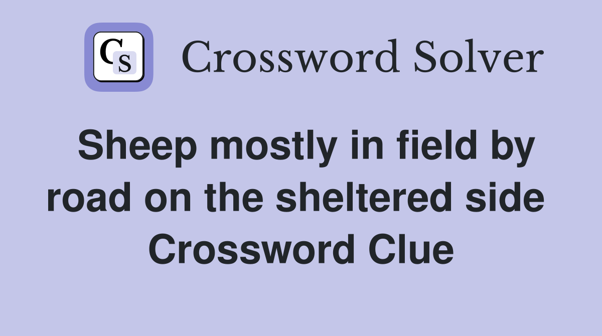 Sheep mostly in field by road on the sheltered side  Crossword Clue