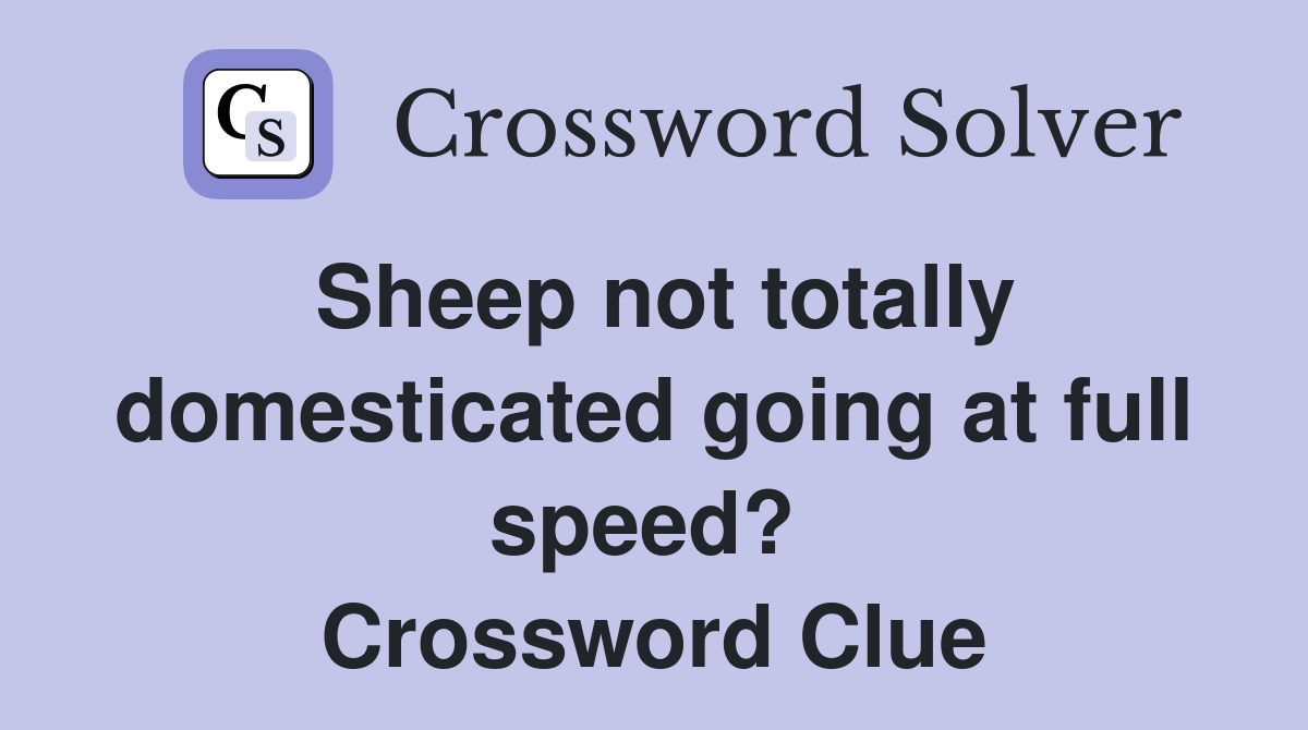 Sheep not totally domesticated going at full speed?  Crossword Clue