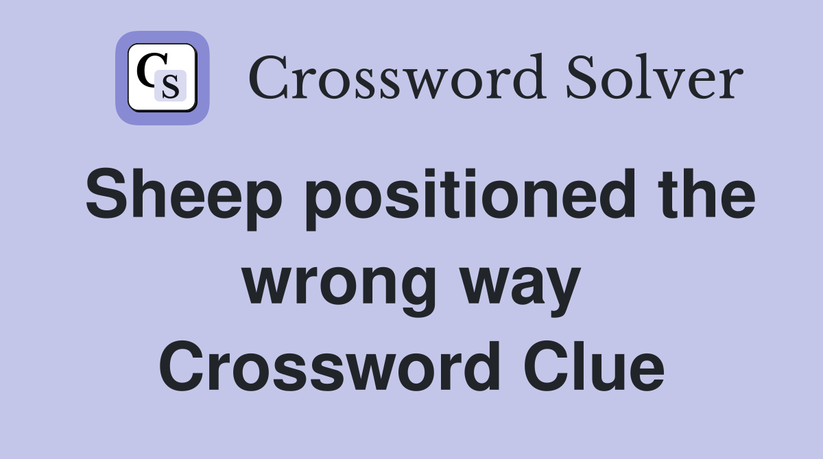 Sheep positioned the wrong way Crossword Clue