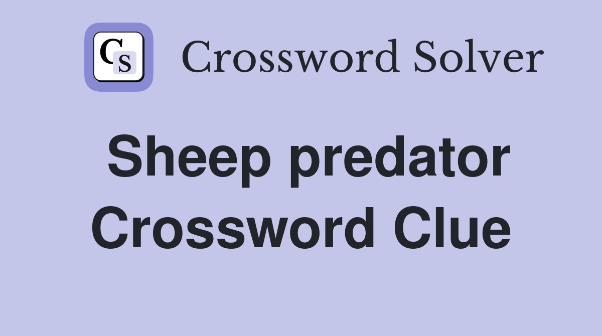 Sheep predator Crossword Clue