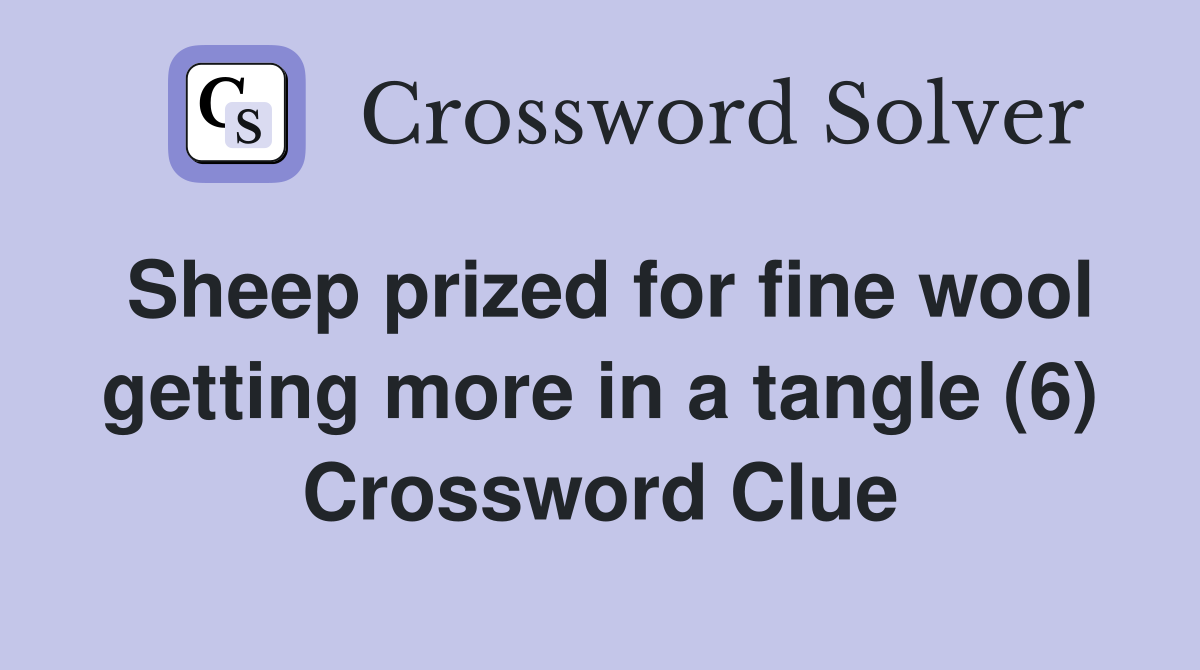 Sheep prized for fine wool getting more in a tangle (6) Crossword Clue