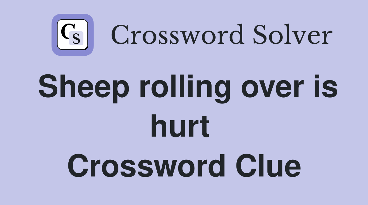 Sheep rolling over is hurt  Crossword Clue