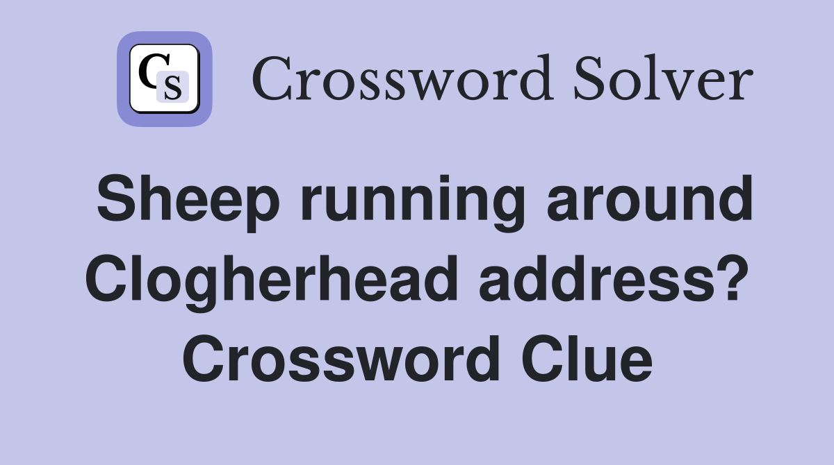 Sheep running around Clogherhead address? Crossword Clue
