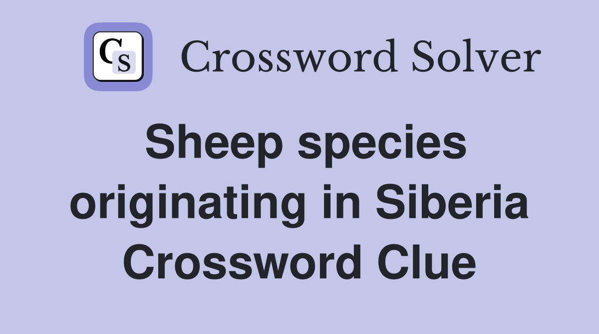 Sheep species originating in Siberia Crossword Clue
