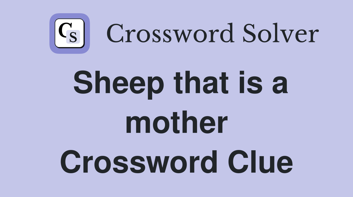 Sheep that is a mother Crossword Clue