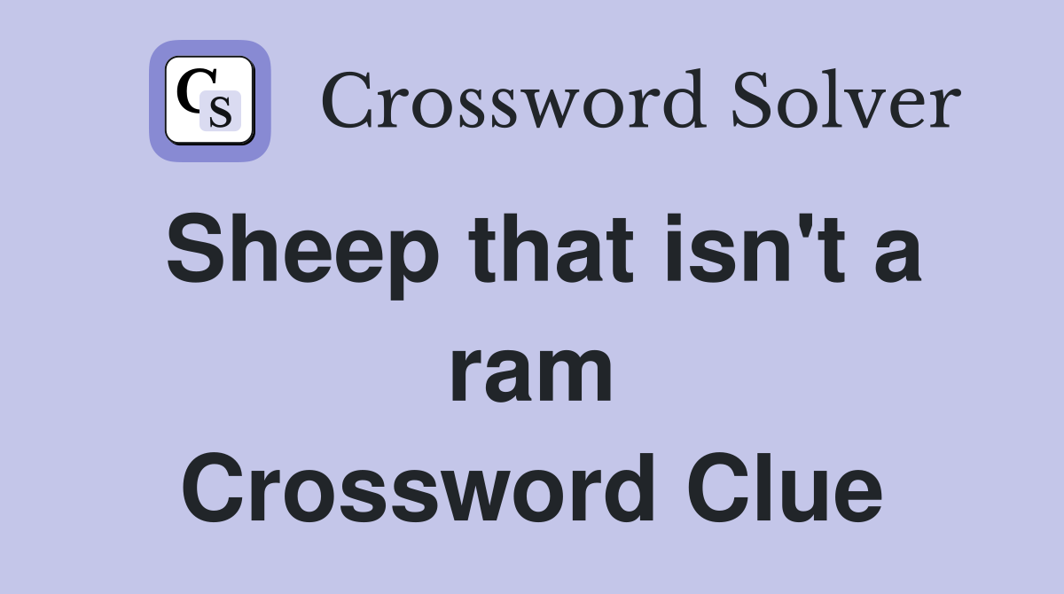 Sheep that isn't a ram Crossword Clue