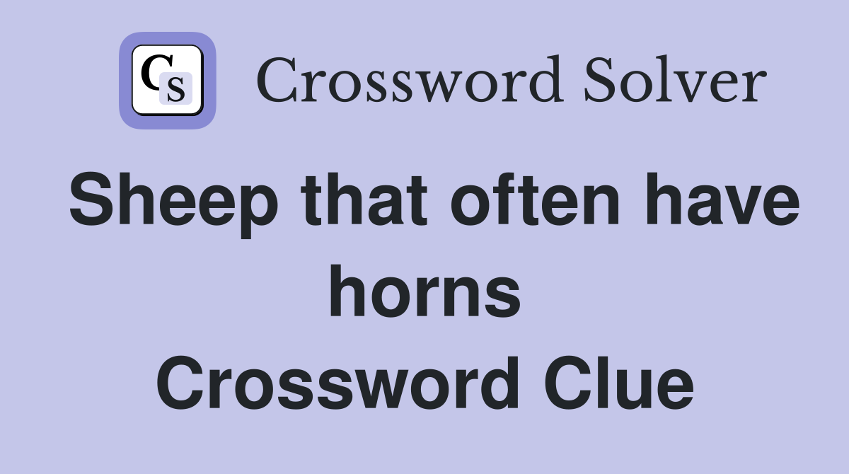Sheep that often have horns Crossword Clue