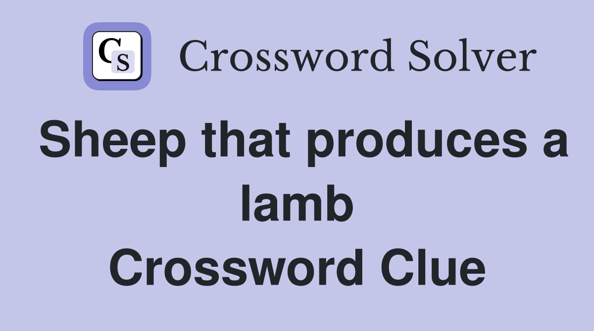 Sheep that produces a lamb Crossword Clue