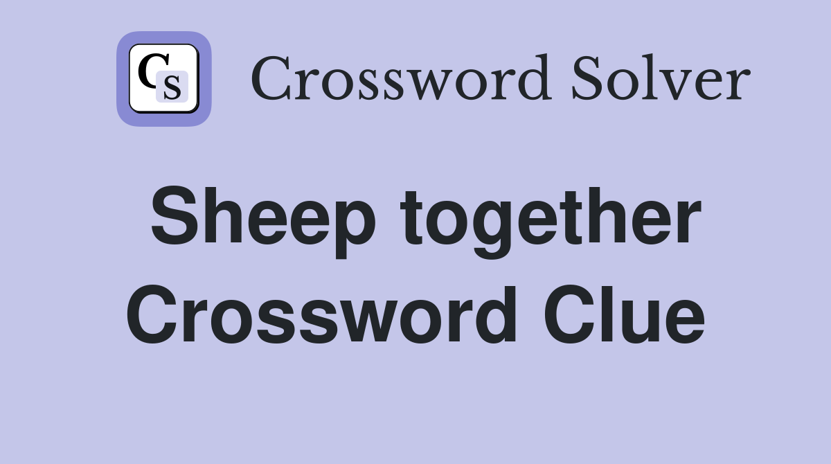 Sheep together Crossword Clue