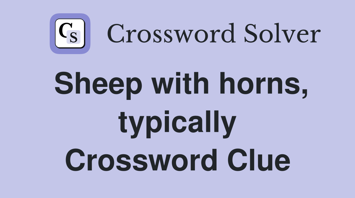 Sheep with horns, typically Crossword Clue
