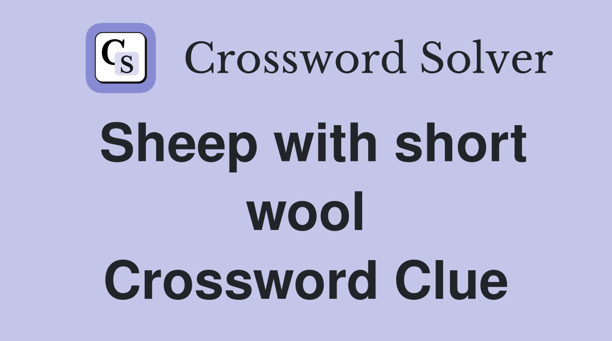 Sheep with short wool Crossword Clue