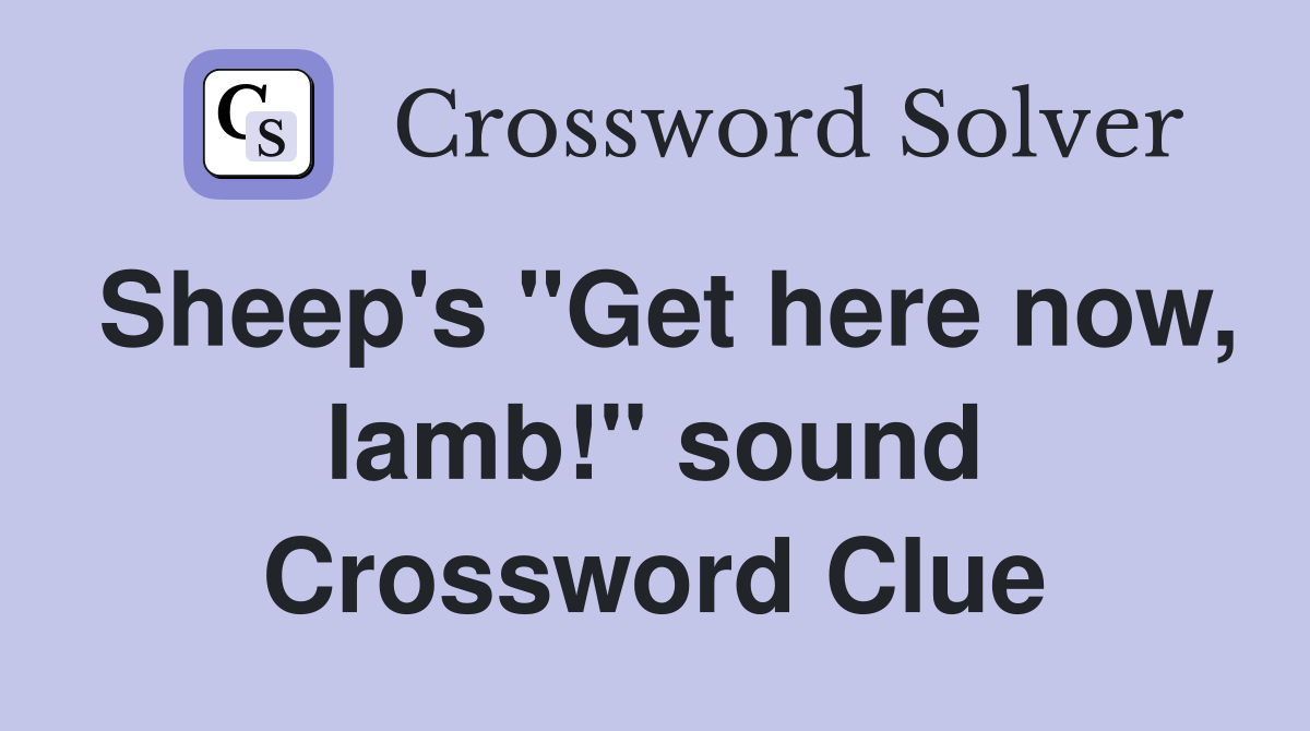 Sheep's "Get here now, lamb!" sound Crossword Clue