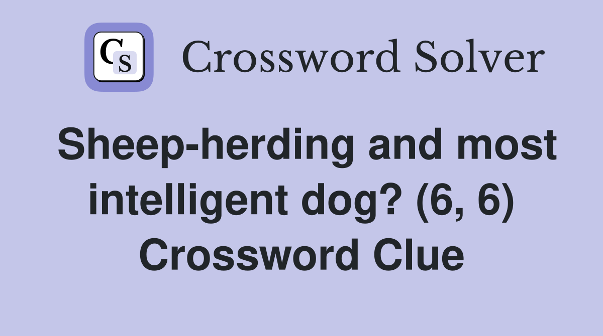 Sheep-herding and most intelligent dog? (6, 6) Crossword Clue