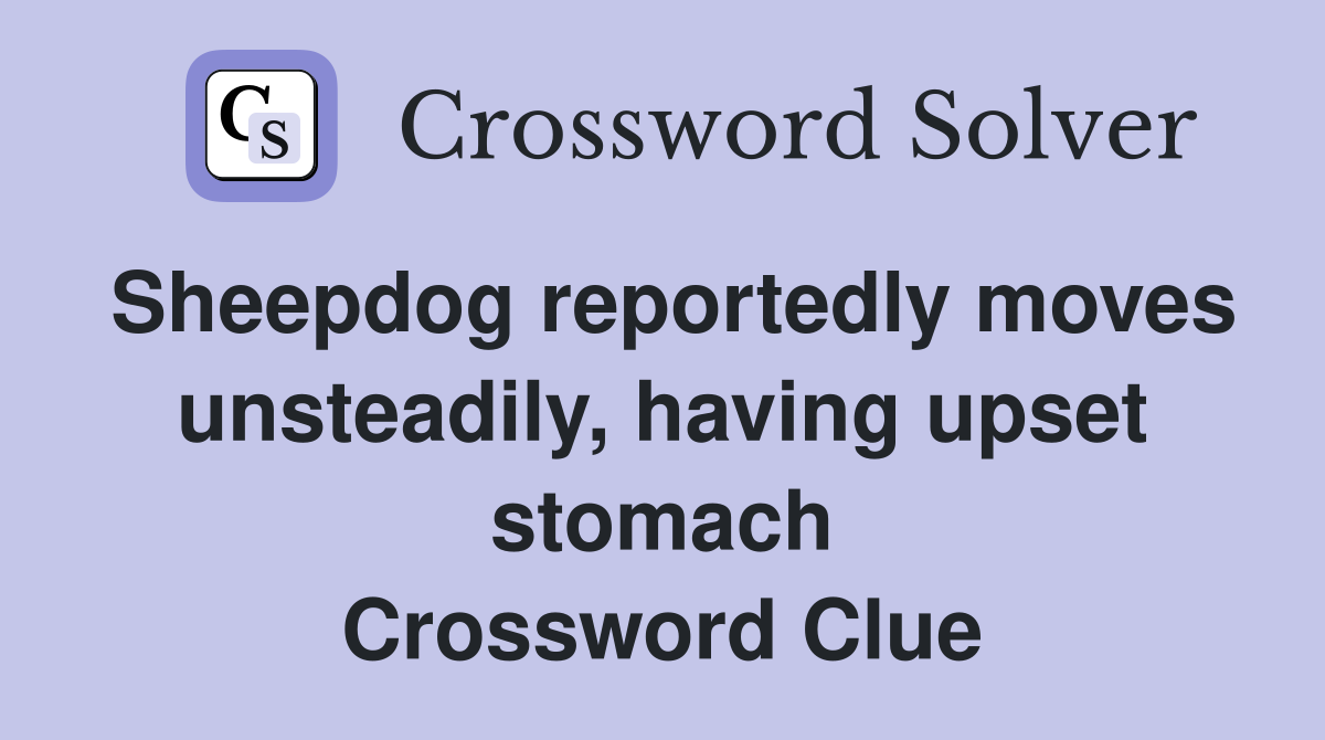 Sheepdog reportedly moves unsteadily, having upset stomach Crossword Clue