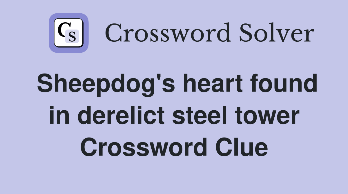 Sheepdog's heart found in derelict steel tower Crossword Clue