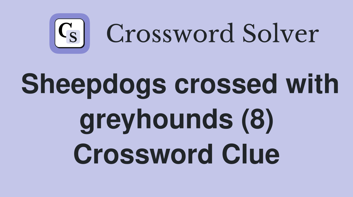Sheepdogs crossed with greyhounds (8) Crossword Clue