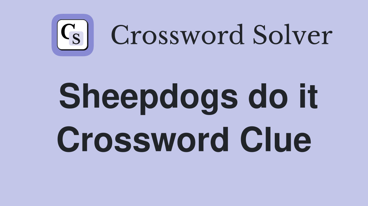 Sheepdogs do it Crossword Clue