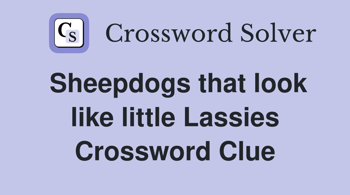 Sheepdogs that look like little Lassies Crossword Clue