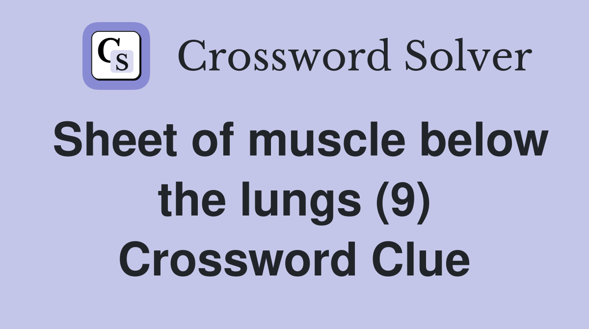 Sheet of muscle below the lungs (9) Crossword Clue