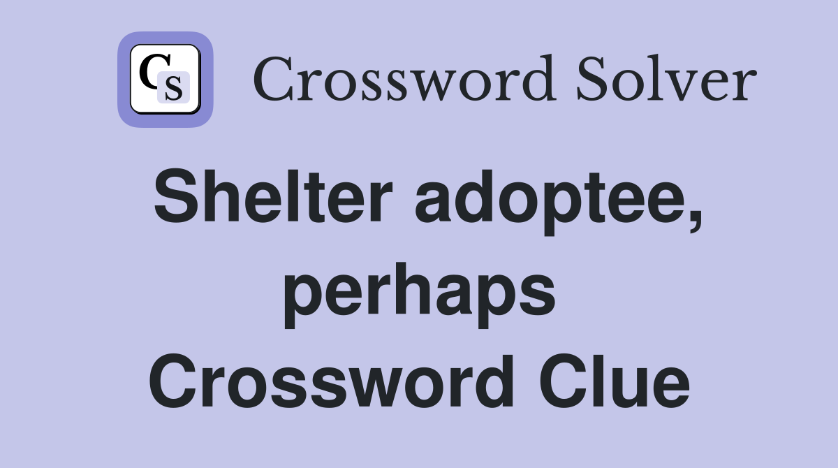 Shelter adoptee, perhaps Crossword Clue