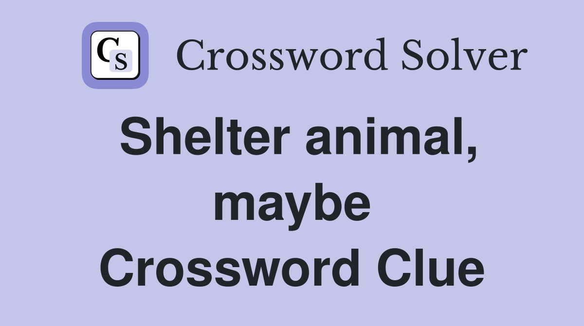 Shelter animal, maybe Crossword Clue