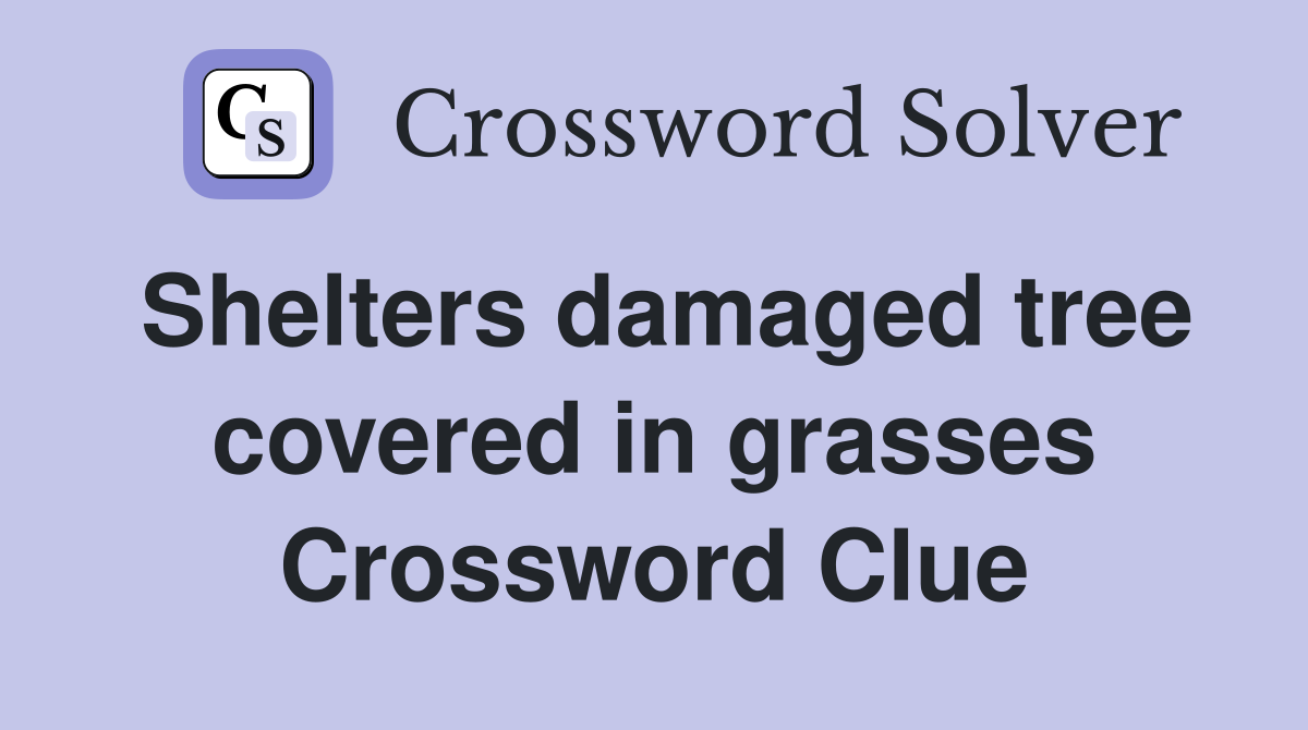 Shelters damaged tree covered in grasses Crossword Clue