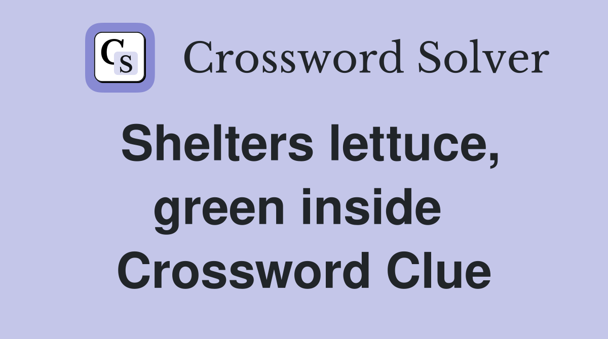 Shelters lettuce, green inside  Crossword Clue